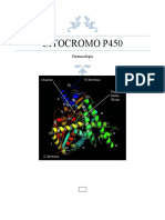 Citocromo p450
