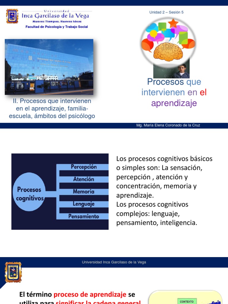 5 Procesos y Estrategias Cognitivos en El Aprendizaje | PDF | Memoria ...