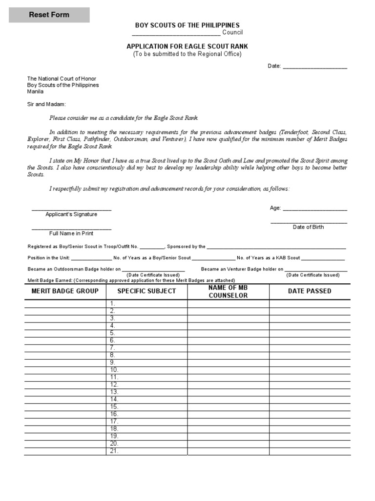 Belated eagle scout application picture