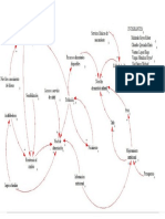 Diagrama Causal de Desnutricion - Grupo 01