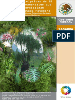 Fichas plantas ornamentales 904.pdf