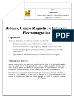 Bobinas Informe