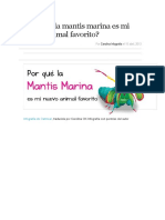 Por Qué La Mantis Marina Es Mi Nuevo Animal Favorito