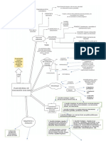 Mapa Conceptual PNDE - ROA TORRES