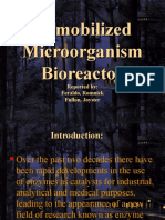 Immobilized Microorganism Bioreactor