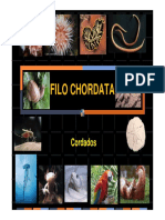 Os Cordados_Material Extra.pdf