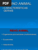 REINO ANIMAL