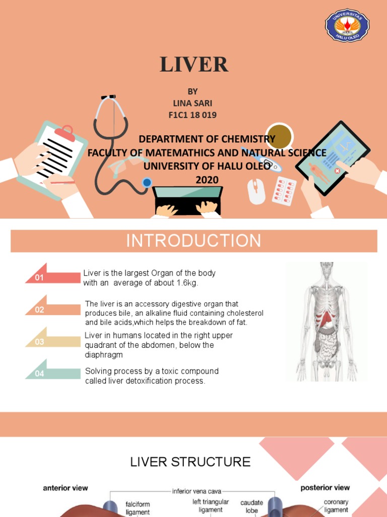 Functions and Structure of the Liver | PDF