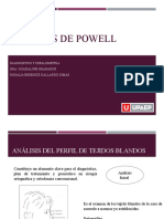 Analisis de Powell y Tweed