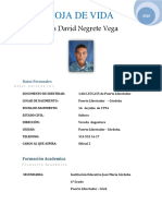 Hoja de Vida Luis David Negrete Vega