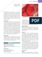 Sarcoma de Kaposi PDF