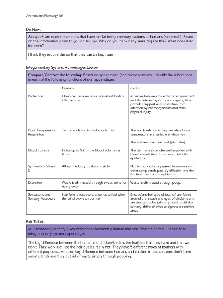 Exit Ticket Sample | PDF | Integumentary System | Skin