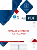 Presentación Clase Fase Inflamatoria, Proliferativa y Madurativa