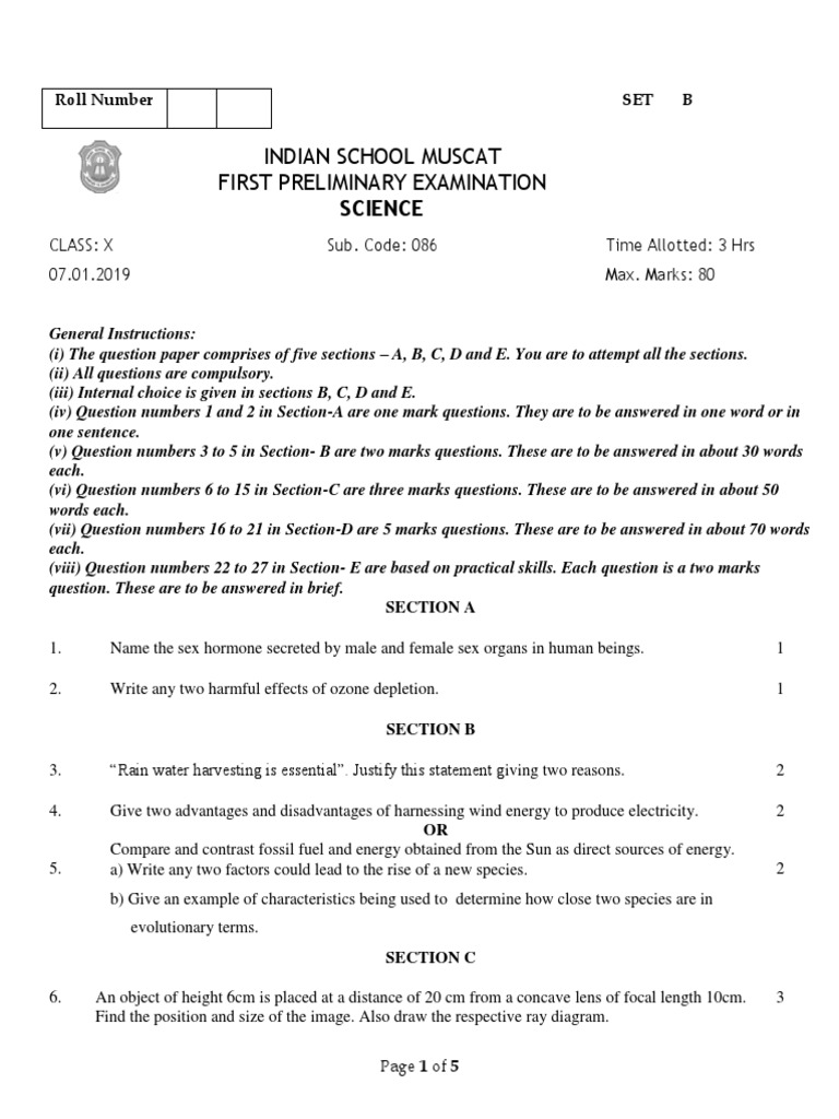 First Preliminary Examination Science Class X PDF Metals Redox