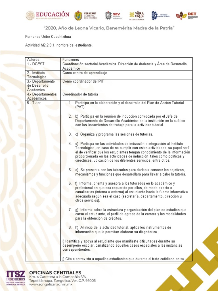 Actores y Funciones de Tutores | PDF | Plan de estudios | Maestros