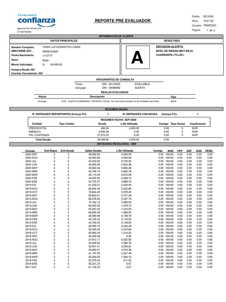 Informe de Riesgo Financiero Cliente | PDF | Responsabilidad ...