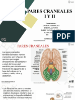 1y2 Pares Craneales