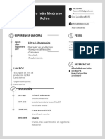 plantilla cv.docx