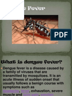 Denguefeverslide 121022234902 Phpapp01