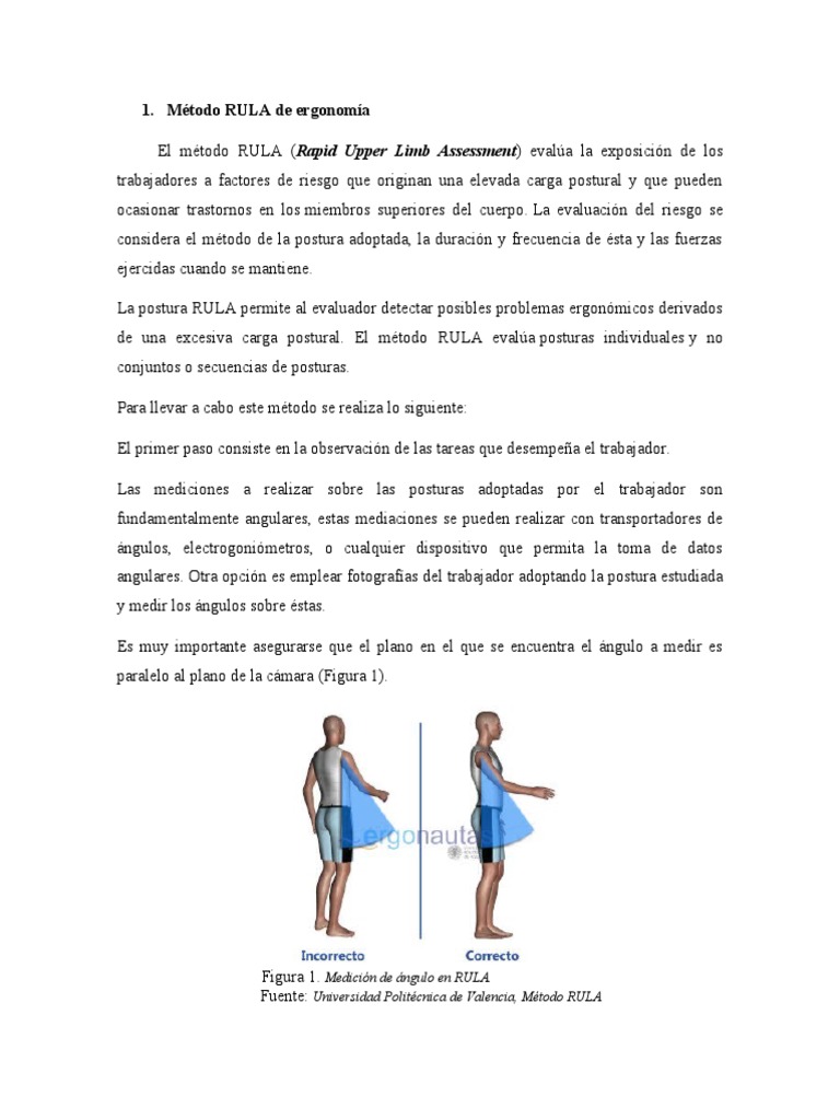 Método RULA de Ergonomía | PDF | Factores humanos y ergonomía | Medición