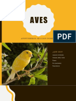 AVES