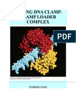 SLIDING DNA CLAMP