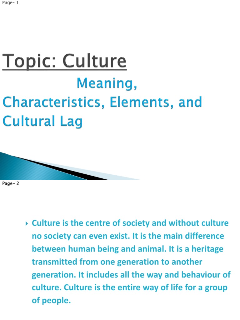 Understanding Cultural Lag in Sociology | PDF | Value (Ethics) | Traditions