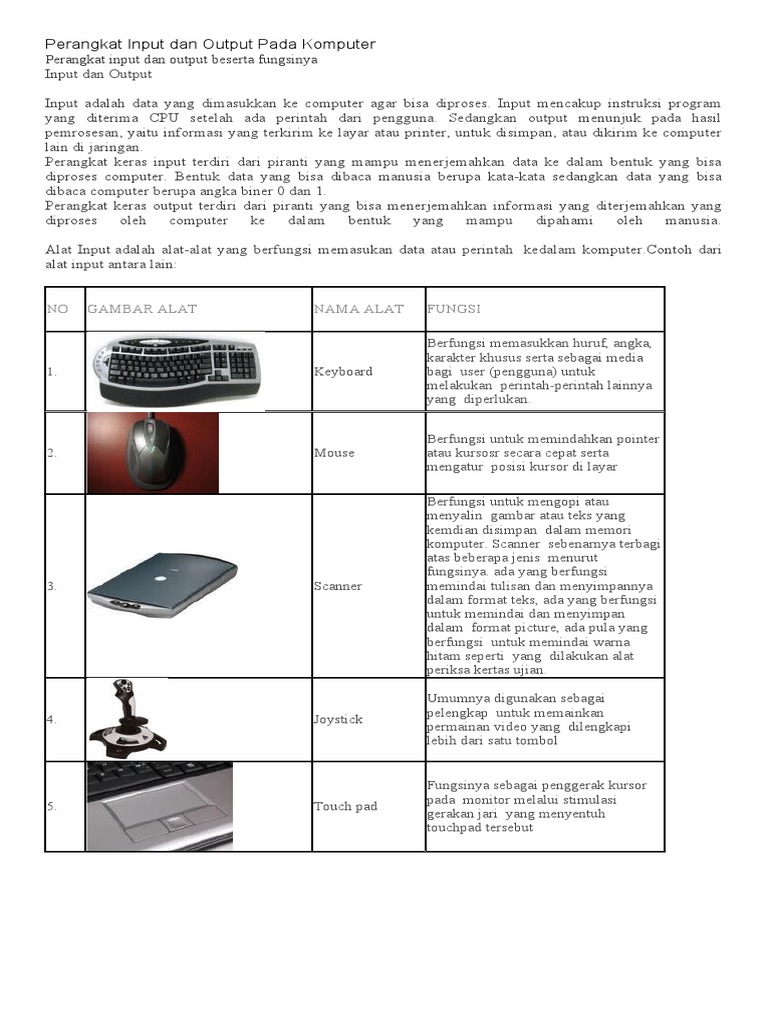 Perangkat Input dan Output Komputer | PDF
