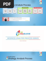 Business Analysis Process: The BA Guide's