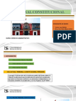 Diapositivas Tribunal Constitucional Paf