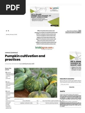 Pumpkin cultivation and practices