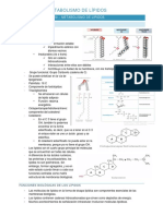 Degrabación parcial 3 - AnaT.pdf