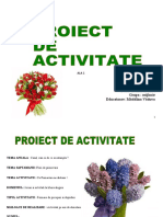 proiect didactic- ala 1