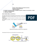 STS 1er AÑO TP3