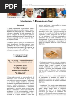 Texto Complementar - Tema 6 - Matrimônio na Dimensão do Sinal