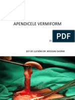 APENDICELE VERMIFORM 