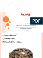 Ricinul PDF