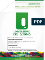 Gallo, W, Rodriguez, Y, Peña, E.Anteproyecto 2020