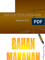 sistem-pencernaan