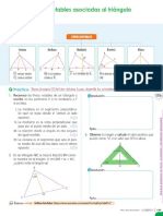 Triángulos y Líneas Notables
