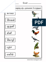 birds.pdf