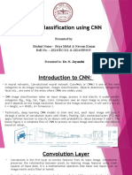 Image Classification Using CNN