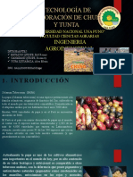 Tecnología de Elaboración de Chuño y Tunta Presentacion