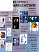 Infografia Metodologia de La Investigacion PDF