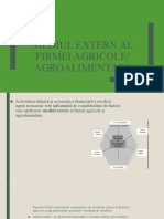 4.mediul Extern Al Firmei Agricole