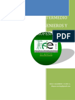 Curso de Excel Intermedio para Ingenieros y Profesionales