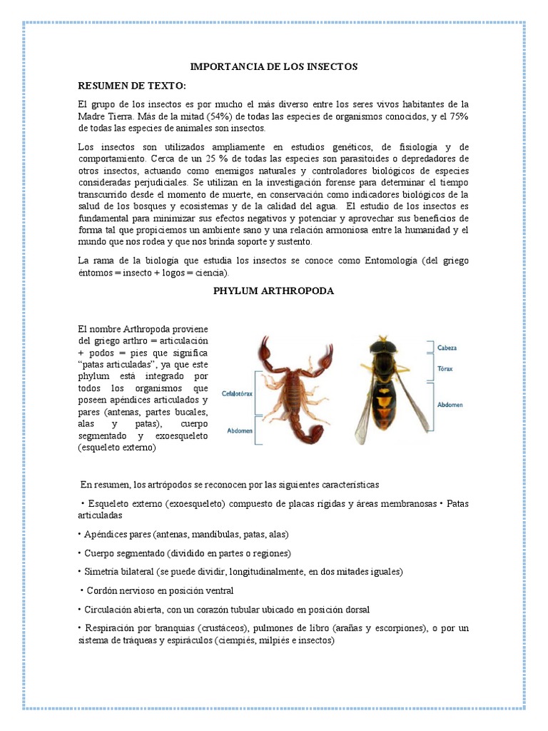 Importancia de Los Insectos | PDF | Artrópodos | Insectos