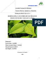 TP3- HOJA-Biología Vegetal 2020 CORREGIDO.pdf