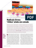 Radicais Livres PDF