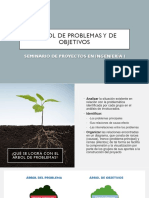 Arbol de Problemas y Objetivos - 2020